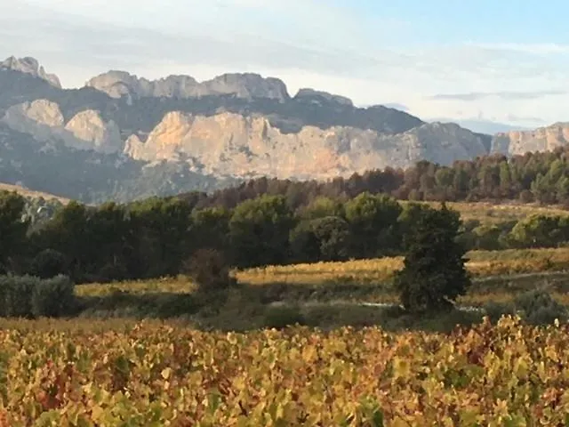 Gite Avec Piscine Mes Vacances En Provence A Beaumes De Venise